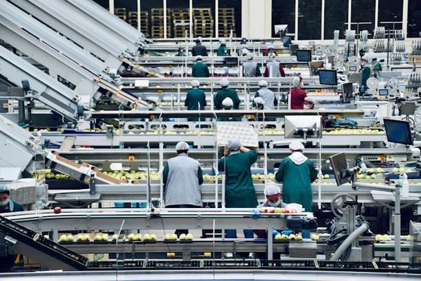 Perspectives et tendances : Zoom sur l'avenir de l'emploi dans l'industrie